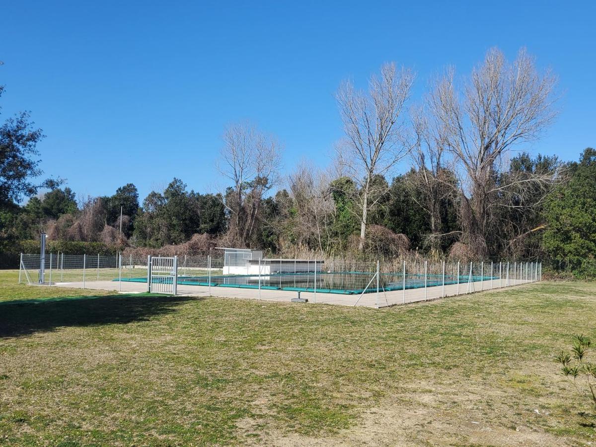 Trilocale Nr 8 Apartment Calambrone Bagian luar foto